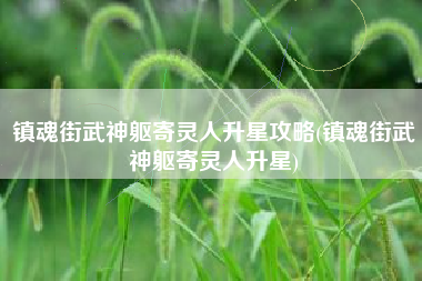 镇魂街武神躯寄灵人升星攻略(镇魂街武神躯寄灵人升星)