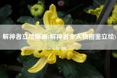 解神者立绘原画(解神者全人物图鉴立绘)