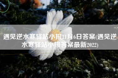 遇见逆水寒驿站小报11月6日答案(遇见逆水寒驿站小报答案最新2022)