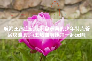 航海王热血航线来自东海的少年特点答案攻略(航海王热血航线来一起玩啊)