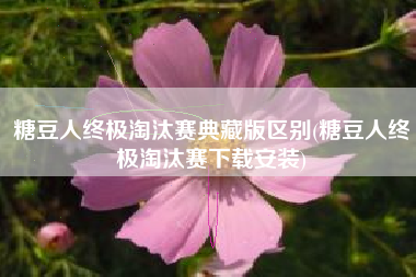 糖豆人终极淘汰赛典藏版区别(糖豆人终极淘汰赛下载安装)