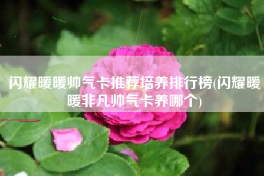 闪耀暖暖帅气卡推荐培养排行榜(闪耀暖暖非凡帅气卡养哪个)