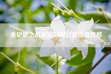 金铲铲之战破败前期过渡运营攻略