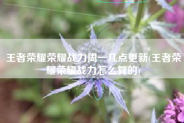 王者荣耀荣耀战力周一几点更新(王者荣耀荣耀战力怎么算的)