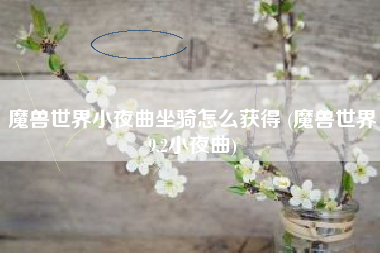 魔兽世界小夜曲坐骑怎么获得 (魔兽世界9.2小夜曲)