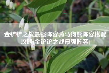 金铲铲之战最强阵容骑马狗熊阵容搭配攻略(金铲铲之战最强阵容)