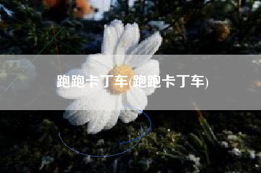 跑跑卡丁车(跑跑卡丁车)