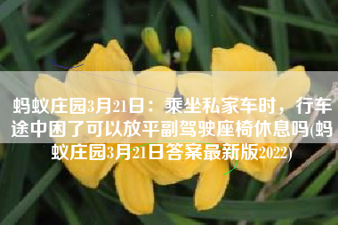 蚂蚁庄园3月21日：乘坐私家车时，行车途中困了可以放平副驾驶座椅休息吗(蚂蚁庄园3月21日答案最新版2022)