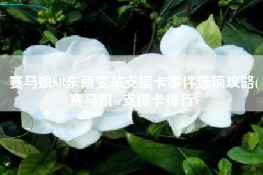 赛马娘SR东商变革支援卡事件选项攻略(赛马娘sr支援卡排行)