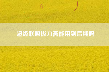 超级联盟拔刀斋能用到后期吗