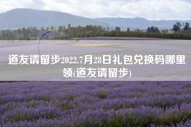 道友请留步2022.7月28日礼包兑换码哪里领(道友请留步)