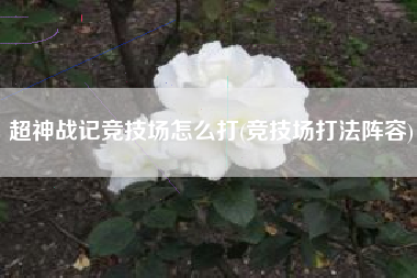 超神战记竞技场怎么打(竞技场打法阵容)