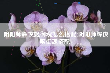 阴阳师辉夜姬御魂怎么搭配(阴阳师辉夜姬御魂搭配)