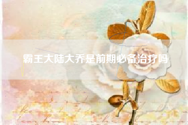 霸王大陆大乔是前期必备治疗吗