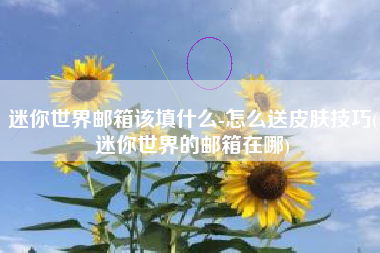 迷你世界邮箱该填什么-怎么送皮肤技巧(迷你世界的邮箱在哪)