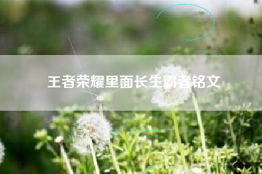 王者荣耀里面长生霸者铭文