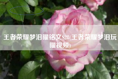 王者荣耀梦泪曜铭文S28(王者荣耀梦泪玩曜视频)