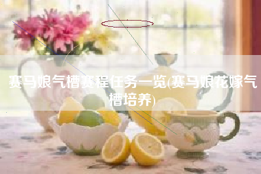 赛马娘气槽赛程任务一览(赛马娘花嫁气槽培养)