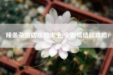 辣条杂货店攻略大全(全剧情结局攻略)