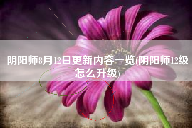 阴阳师8月12日更新内容一览(阴阳师12级怎么升级)