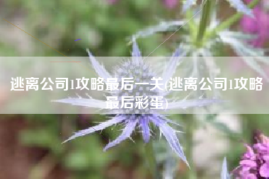 逃离公司1攻略最后一关(逃离公司1攻略最后彩蛋)