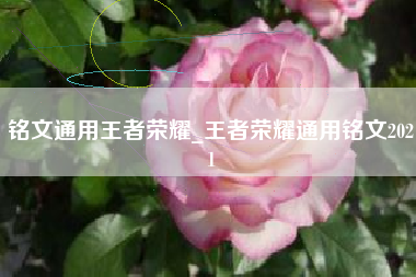 铭文通用王者荣耀_王者荣耀通用铭文2021
