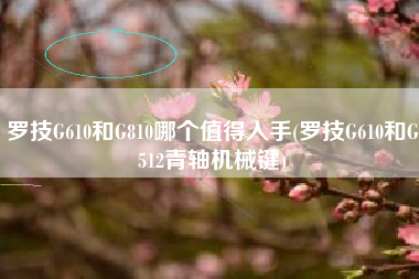 罗技G610和G810哪个值得入手(罗技G610和G512青轴机械键)