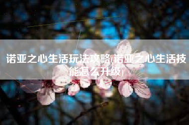 诺亚之心生活玩法攻略(诺亚之心生活技能怎么升级)