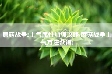 蘑菇战争2士气属性加强攻略(蘑菇战争士气方法获得)
