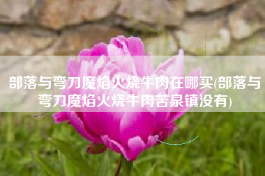部落与弯刀魔焰火烧牛肉在哪买(部落与弯刀魔焰火烧牛肉苦泉镇没有)