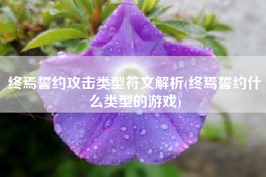 终焉誓约攻击类型符文解析(终焉誓约什么类型的游戏)