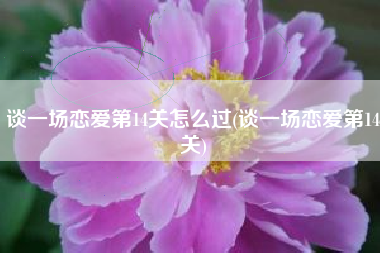 谈一场恋爱第14关怎么过(谈一场恋爱第14关)
