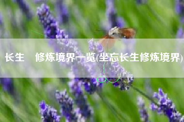 长生箓修炼境界一览(坐忘长生修炼境界)