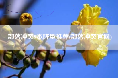 部落冲突9本阵型推荐(部落冲突官网)