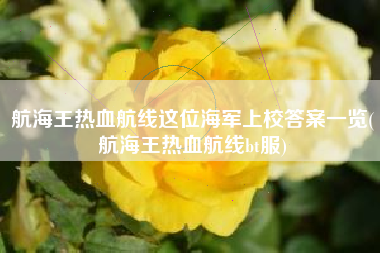 航海王热血航线这位海军上校答案一览(航海王热血航线bt服)