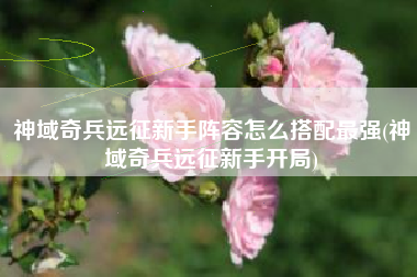 神域奇兵远征新手阵容怎么搭配最强(神域奇兵远征新手开局)
