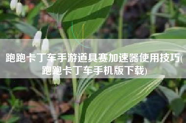 跑跑卡丁车手游道具赛加速器使用技巧(跑跑卡丁车手机版下载)