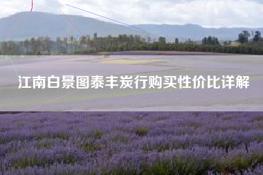 江南白景图泰丰炭行购买性价比详解