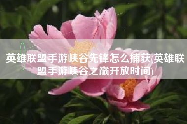 英雄联盟手游峡谷先锋怎么捕获(英雄联盟手游峡谷之巅开放时间)