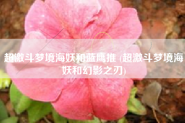 超激斗梦境海妖和蓝鹰推 (超激斗梦境海妖和幻影之刃)