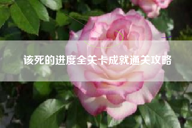 该死的进度全关卡成就通关攻略