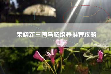 荣耀新三国马腾培养推荐攻略