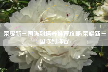 荣耀新三国陈到培养推荐攻略(荣耀新三国陈到阵容)