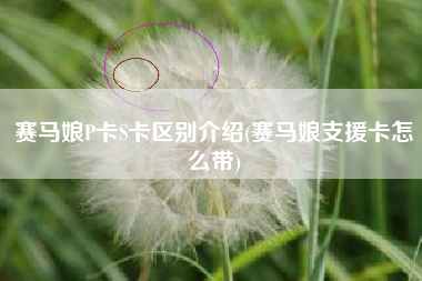 赛马娘P卡S卡区别介绍(赛马娘支援卡怎么带)