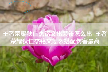 王者荣耀狄仁杰铭文出装该怎么出_王者荣耀狄仁杰铭文怎么搭配伤害最高