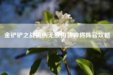 金铲铲之战抗伤无敌肉装神将阵容攻略