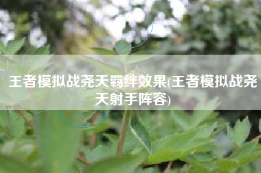 王者模拟战尧天羁绊效果(王者模拟战尧天射手阵容)