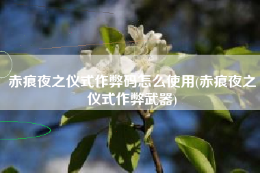赤痕夜之仪式作弊码怎么使用(赤痕夜之仪式作弊武器)