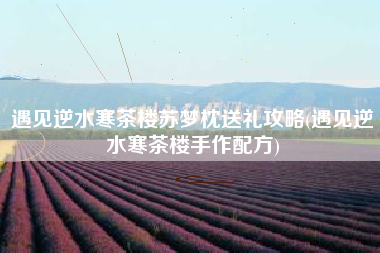 遇见逆水寒茶楼苏梦枕送礼攻略(遇见逆水寒茶楼手作配方)