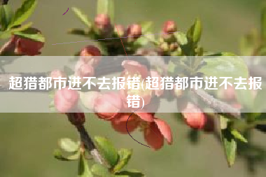 超猎都市进不去报错(超猎都市进不去报错)